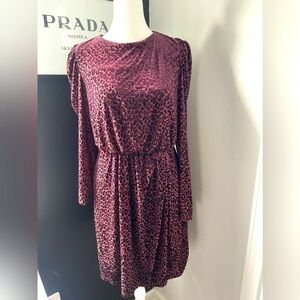 Express Velvet Leopard Dress!